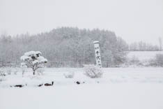 Hokkaido - 112